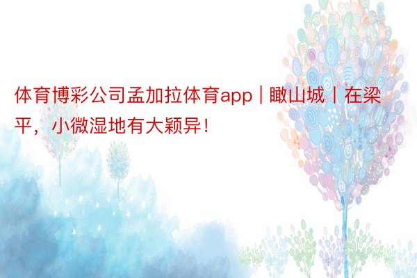 体育博彩公司孟加拉体育app | 瞰山城丨在梁平，小微湿地有大颖异！