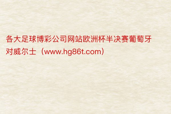 各大足球博彩公司网站欧洲杯半决赛葡萄牙对威尔士（www.hg86t.com）